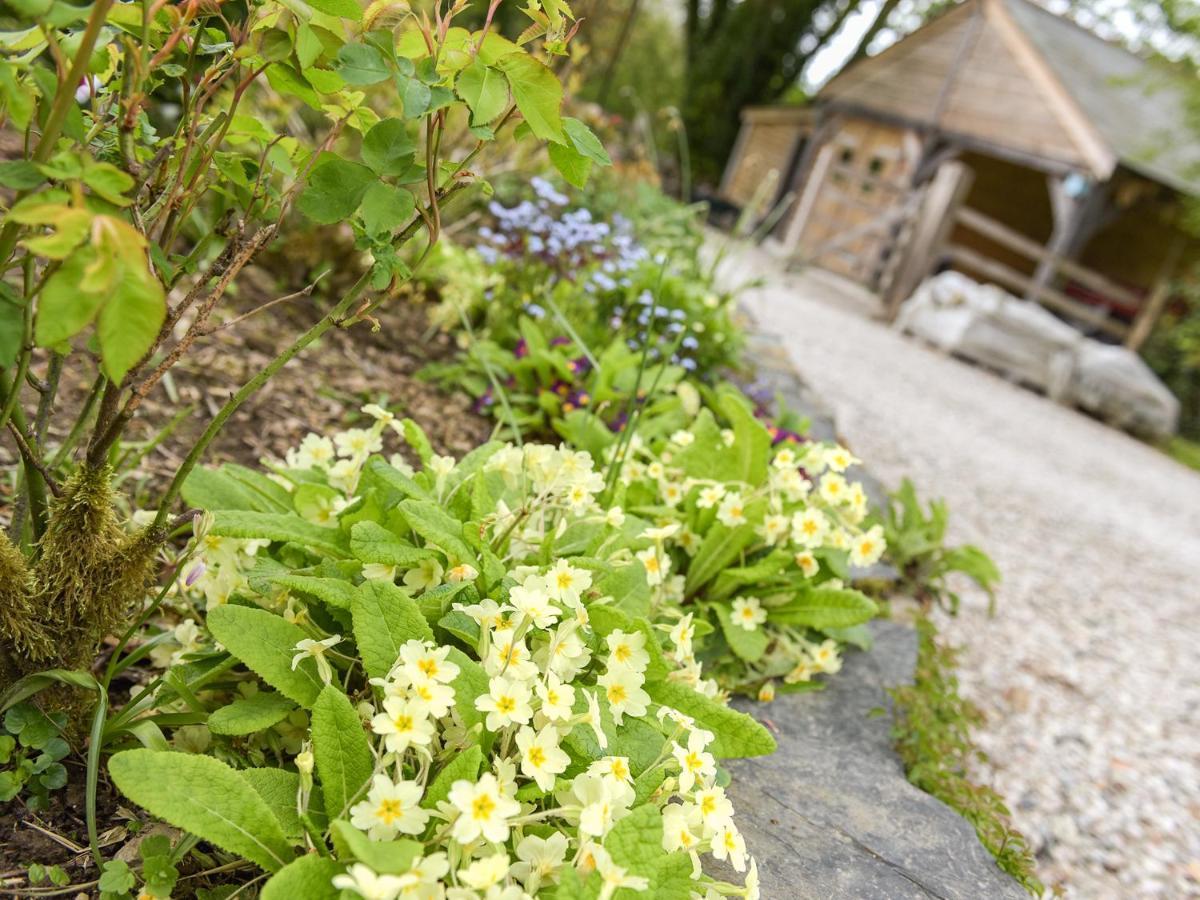 Mimi'S Cottage Liskeard Εξωτερικό φωτογραφία